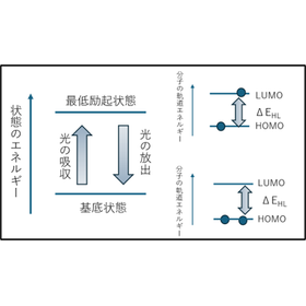 分光蛍光測定による励起蛍光波長の把握 製品画像