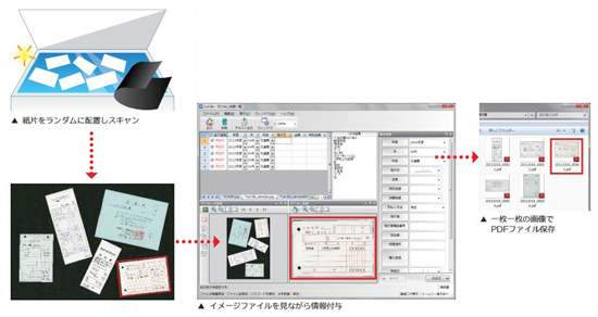ソフトウェア『cut-Be 2』