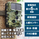 autm26hgr-1.jpg