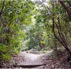 多自然水辺づくり