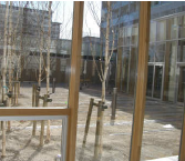 高性能断熱木複合サッシ『木漏れ陽』