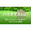【コラム】バイオマスとは？ 再生エネルギーの仕組みを解説！