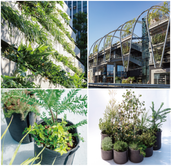 株式会社グリーニアン 会社案内