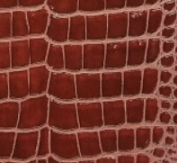 大判特殊印刷サービス