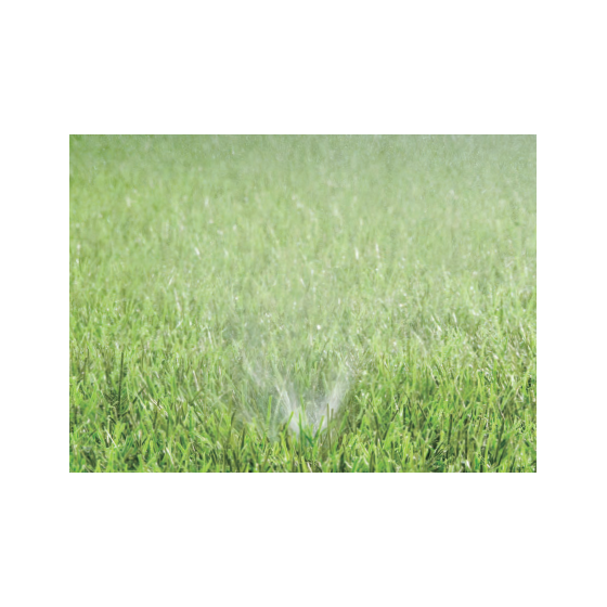 2020-08-07_13h28_05.png