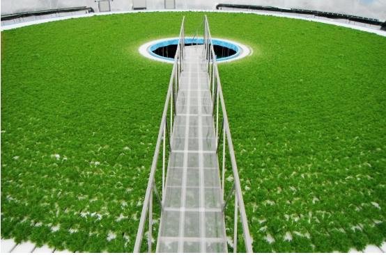 水耕栽培専用エアドーム『GSEドーム』