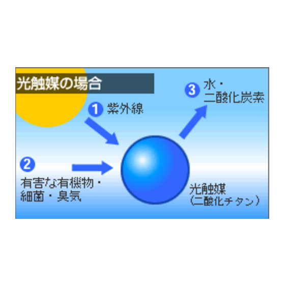 キャプチャ.PNG