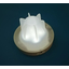 LED Solar Lantern - First Star