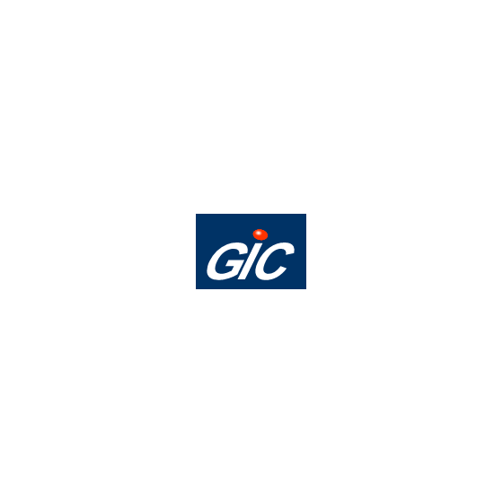 株式会社ジィック.PNG