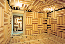 研究/実験/検査