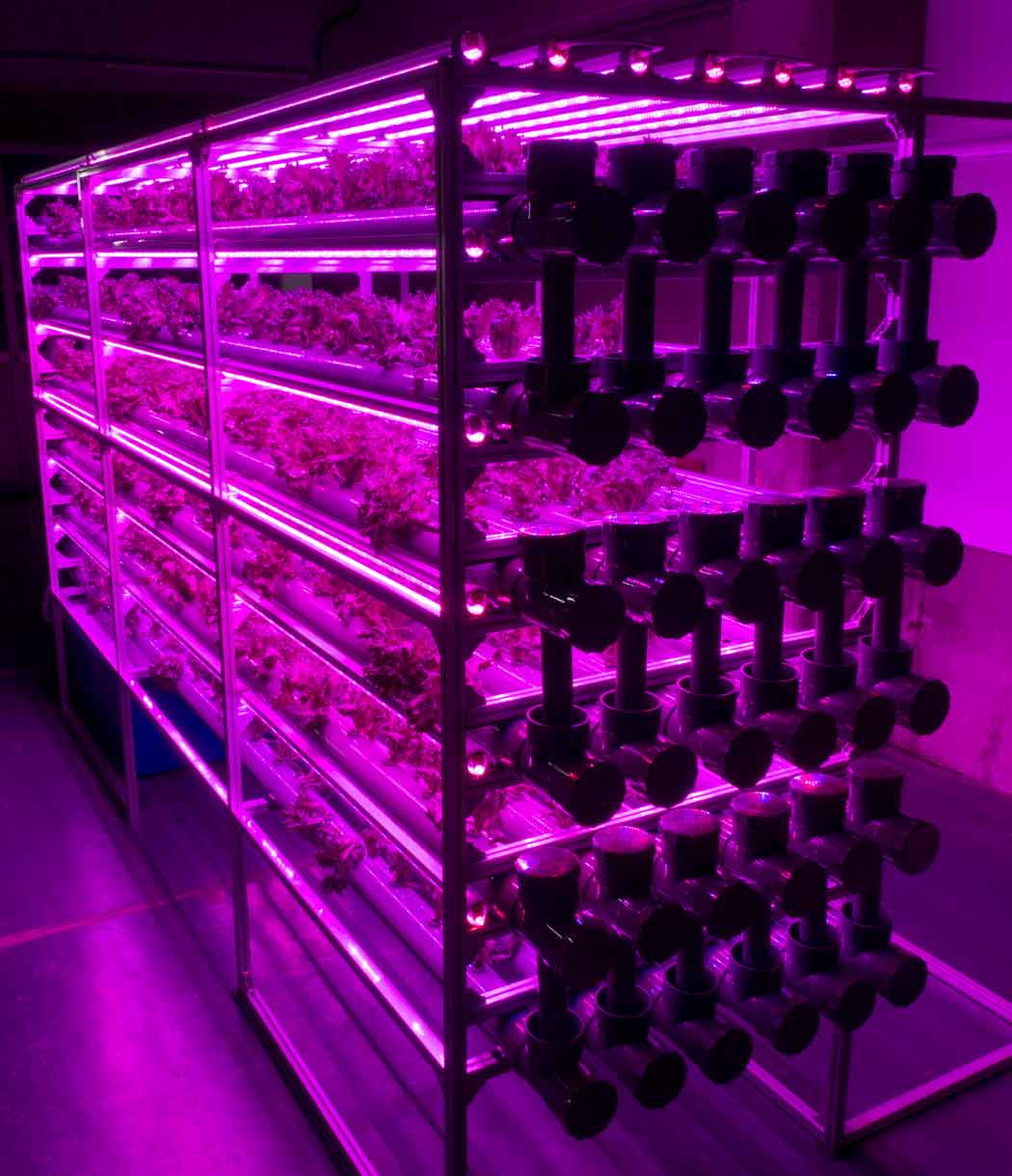 植物工場『REVO』