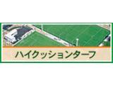 人工芝　ハイクッションターフ