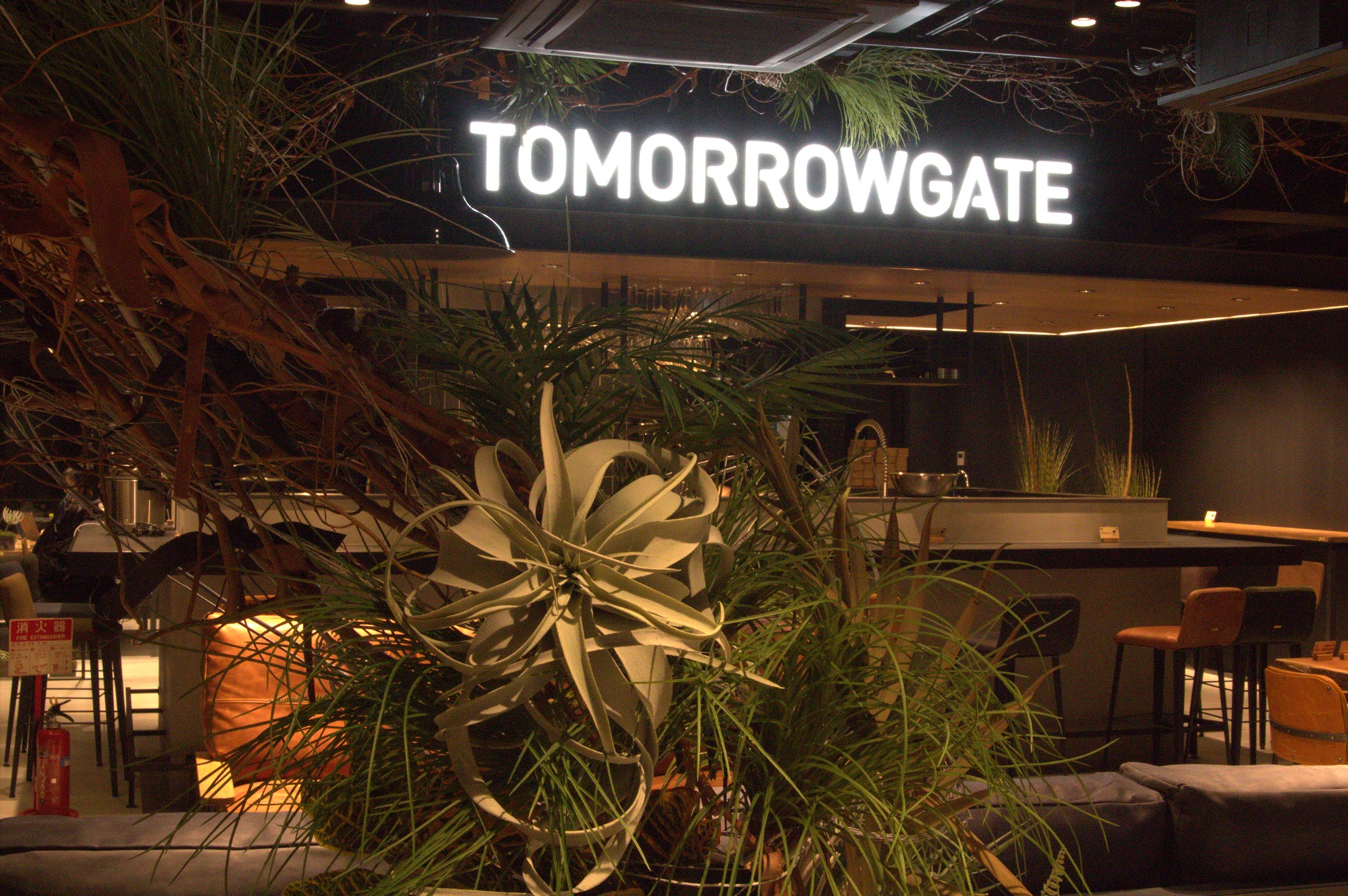 会社案内（有限会社アネラ）