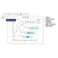 Performance Evaluation of Production Equipment: Case Study on the Use of AWB