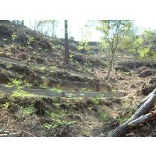 資材　セトロン筋工