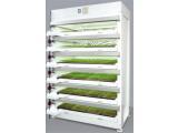 植物工場　育苗（順化）システム