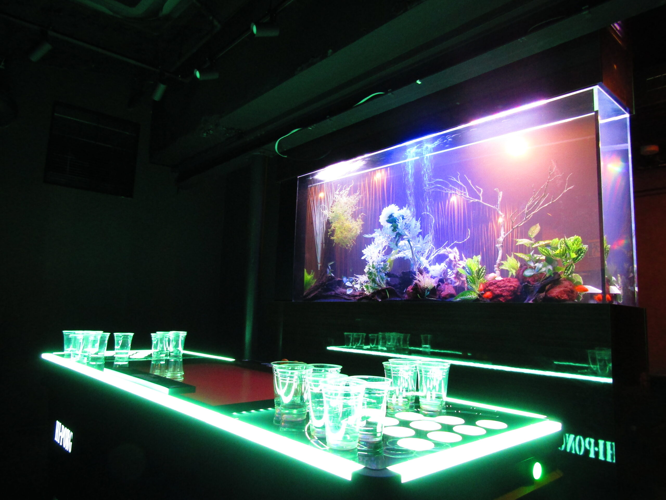 【資料】水槽設置とメンテナンスのご案内