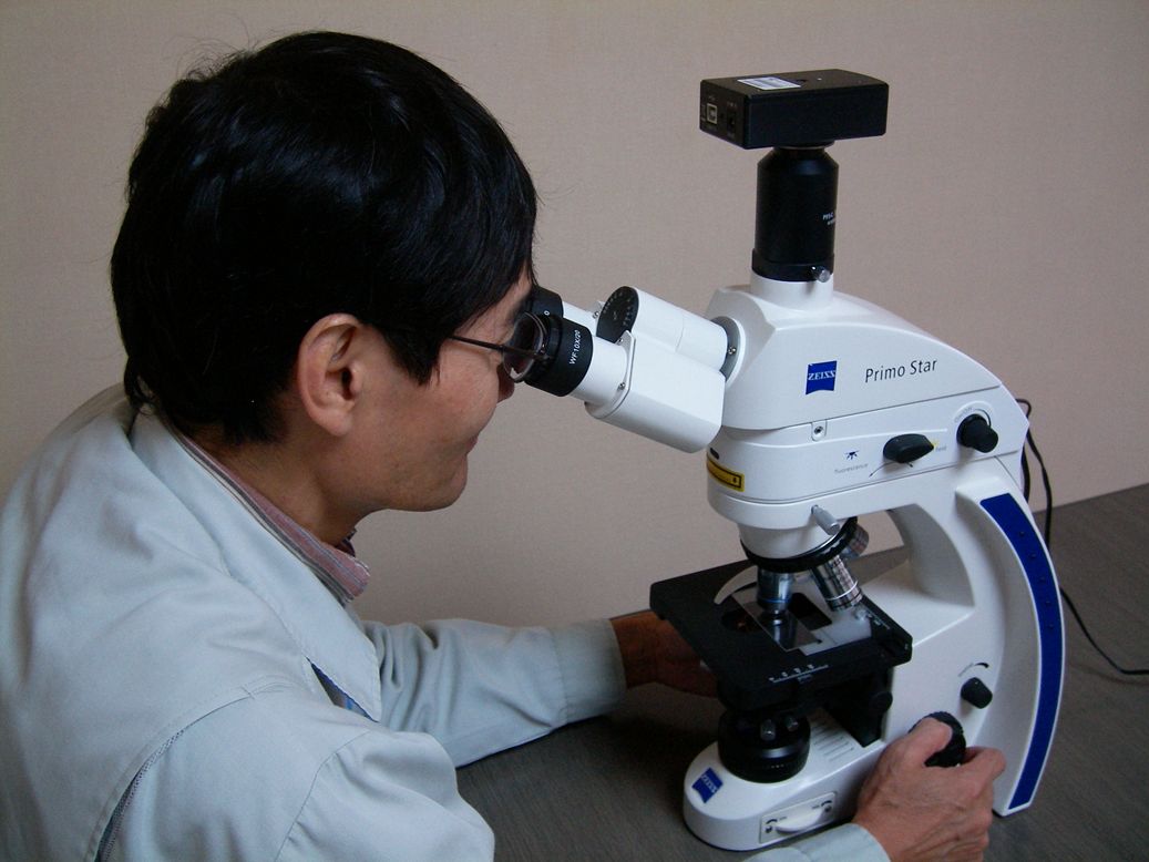 蛍光顕微鏡法による簡易判定