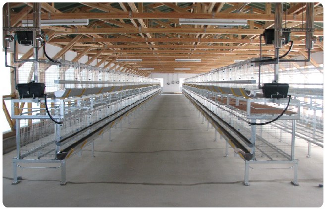 『養鶏用ケージ』