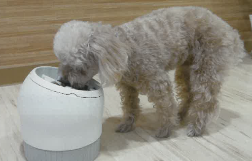 ペットのヘルスケア食器