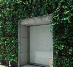 デザインフリーの壁面緑化『M-green Wall』