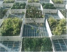 緑化システム『雨水保水式ボックス緑化工法』