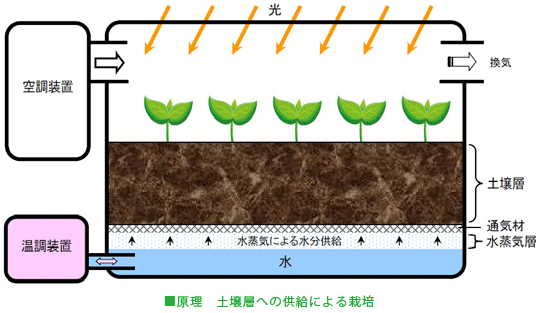 水蒸気栽培システム