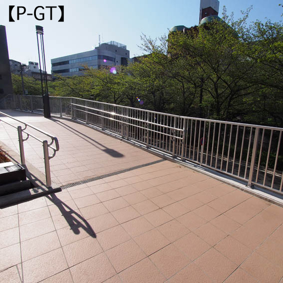 (単)P-GT.jpg