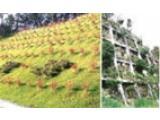 法面植栽緑化　岩盤法面植栽工法Ａ-１工法