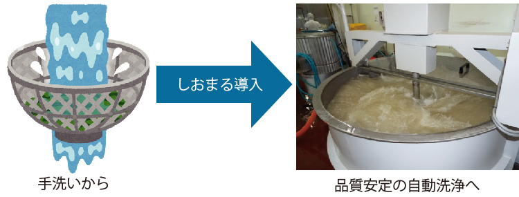 多目的撹拌装置しおまる活用事例【根菜類の洗浄】