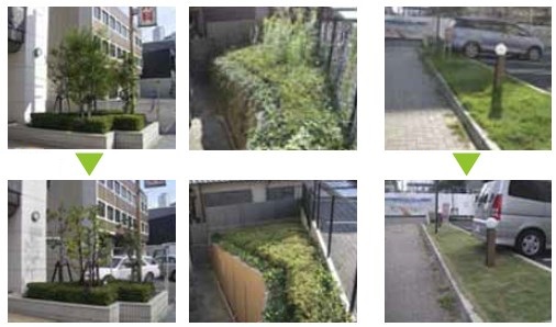 リフォーム・メンテナンス工事『植栽管理保守』