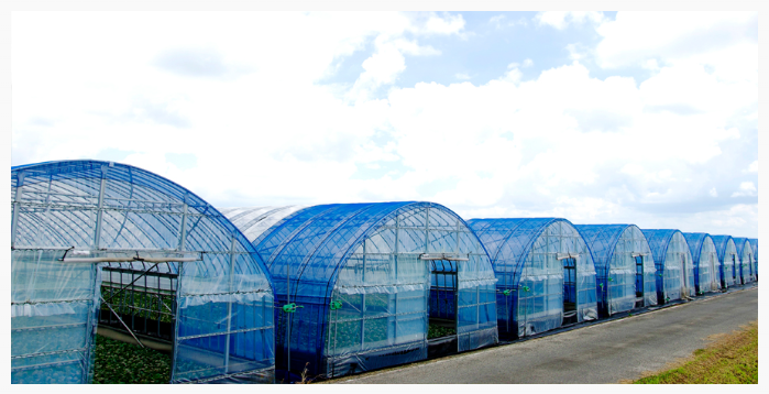 農業用ハウス設計・施工サービス