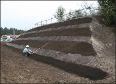 非面的吹付緑化工 エコストライプ工法