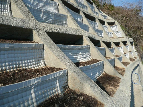 生物多様性の観点からの緑化技術　カーテンウォール工法