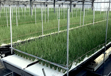 【発泡スチロールOEM】各種資材