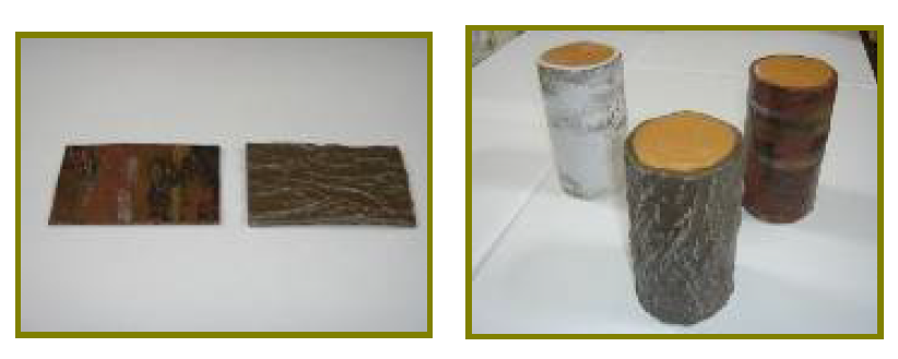 景観対応表面保護剤『ネイチャーシート』