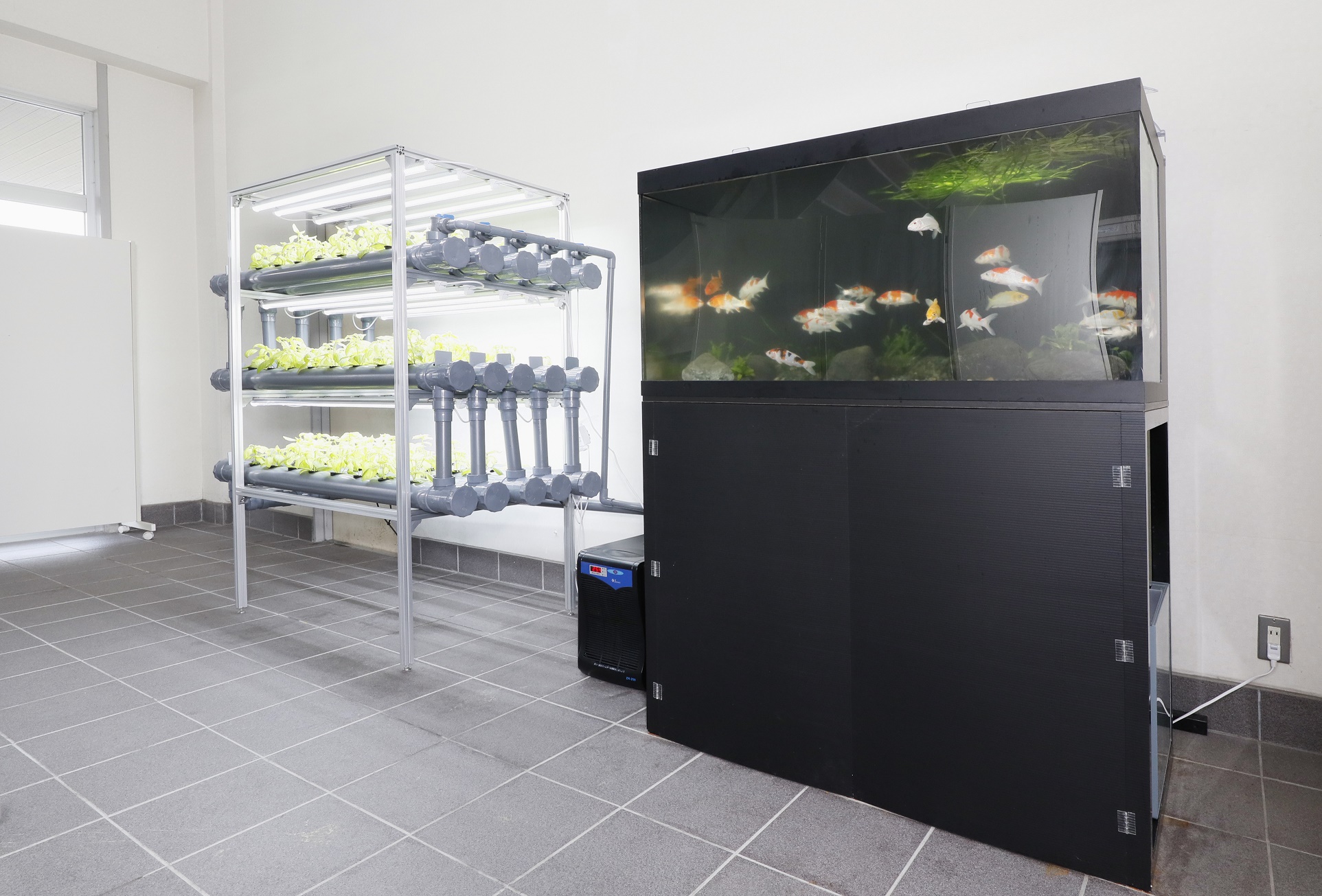 アクアポニックス向け　生産システム用塩ビ部材