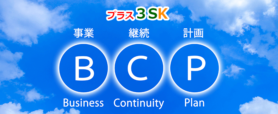 防災・危機管理コンサルティングサービス