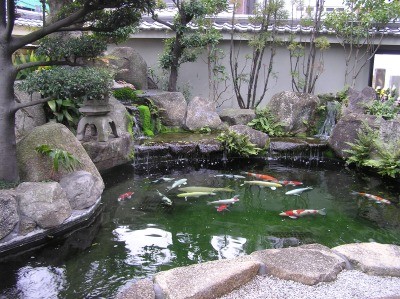 錦鯉鑑賞池施工「京阪錦鯉濾過システム」