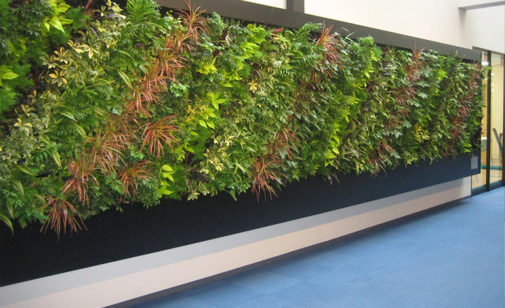 屋内用壁面緑化システム『Platico System』
