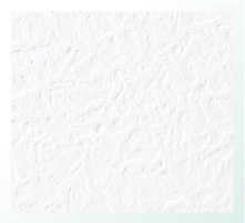 漆喰和紙壁紙『銀雪』