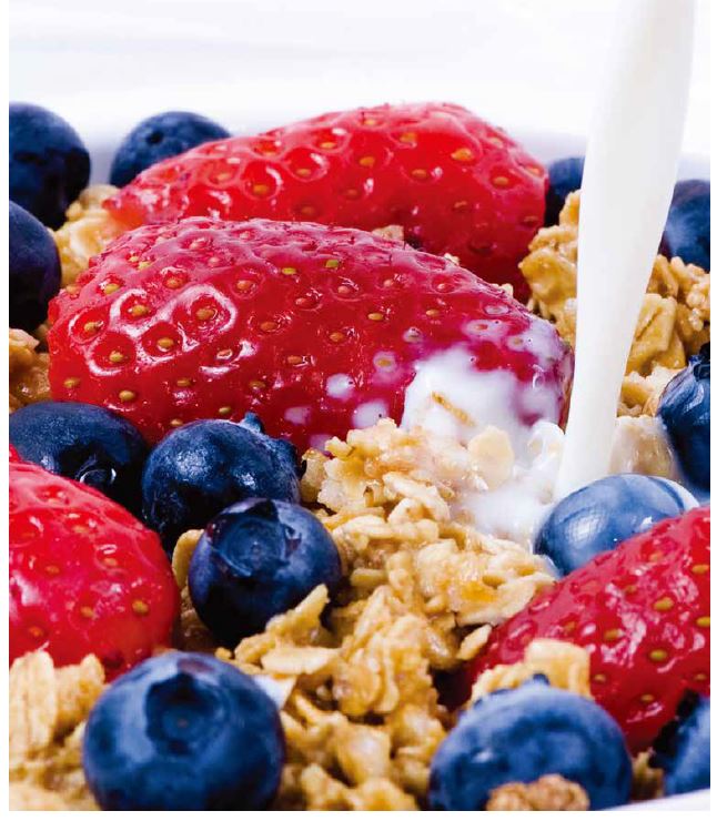 食品・飲料製造工程用プロセスフィルター