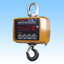 Crane Scale "Handy Cosmo 2 3ACBP-R" [Rental]