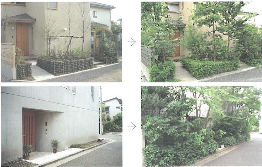 【システムと考え方】緑被率