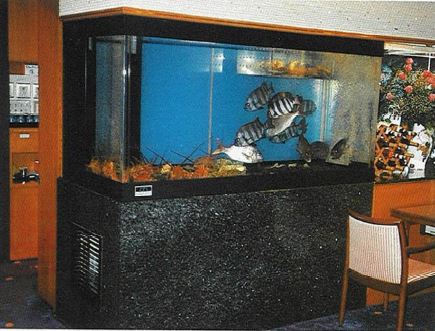 活魚水槽『小型水槽』