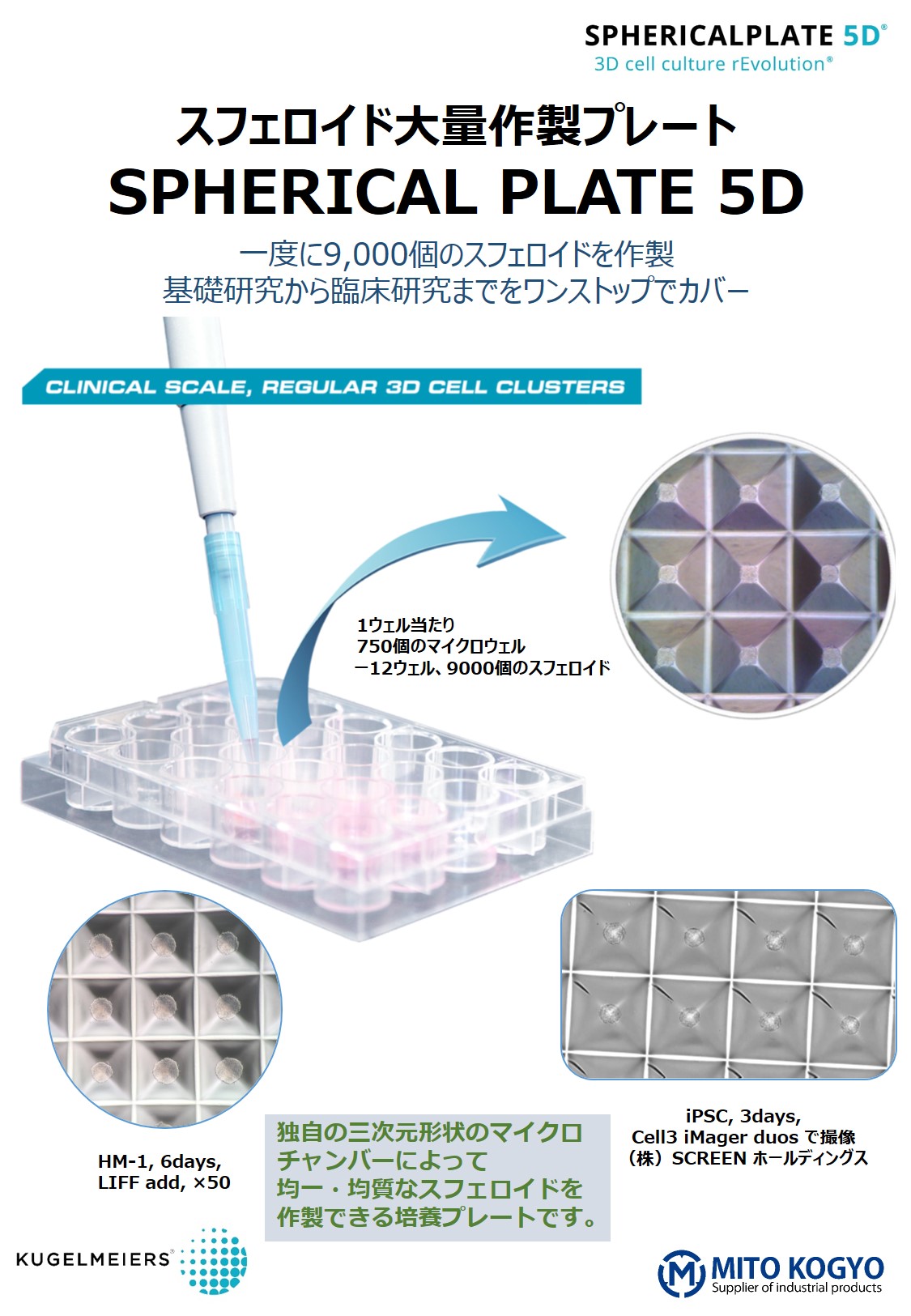 スフェロイド作製用プレート『SPHERICALPLATE 5D』 | 水戸工業