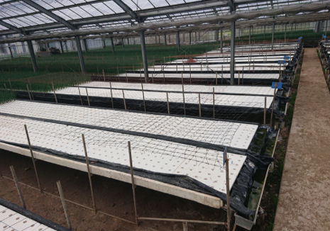 農業資材『水耕パネル・高設ベット』