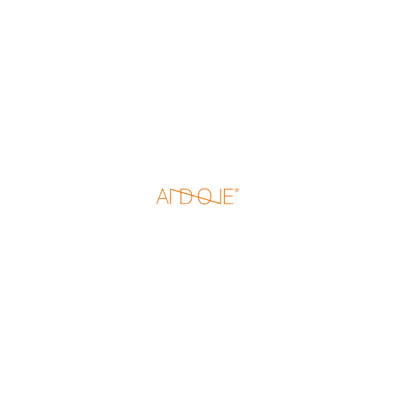 アンドワン株式会社_logo.png