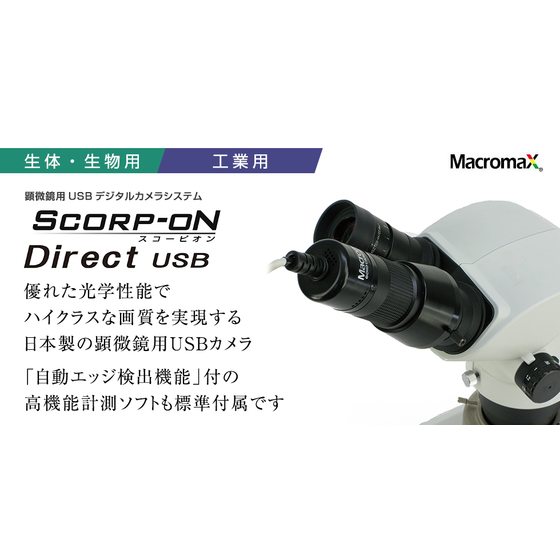 scorp-on-usb-catch.png