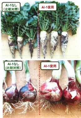 【えひめAI-1　応用例】活力剤への応用